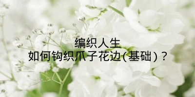 编织人生如何钩织爪子花边(基础)?