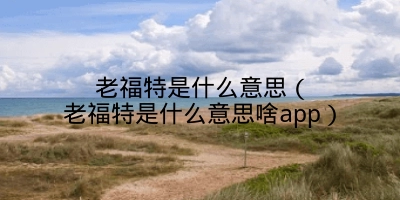 老福特是什么意思(老福特是什么意思啥app)