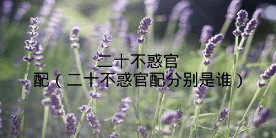 二十不惑官配(二十不惑官配分别是谁)