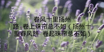 春风十里扬州路 卷上珠帘总不如(扬州十里春风路 卷起珠帘总不如)