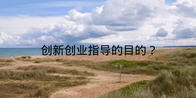 创新创业指导的目的？