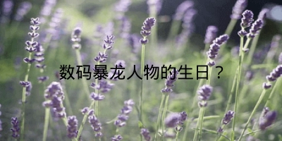 数码暴龙人物的生日?