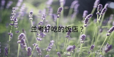 兰考好吃的饭店?