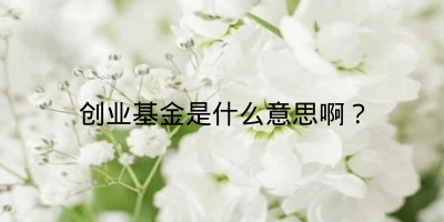 创业基金是什么意思啊?