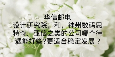华信邮电设计研究院，和，神州数码思特奇、亚信之类的公司哪个待遇能好些?更适合稳定发展？