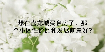 想在盘龙城买套房子,那个小区性价比和发展前景好?